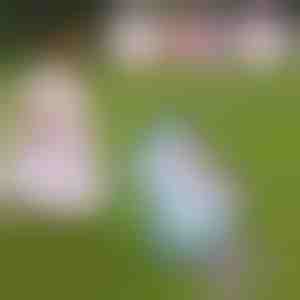 Unicornio de pelucha que anda y canta | ROXY