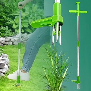 Una herramienta para eliminar las malas hierbas | SPINOUT