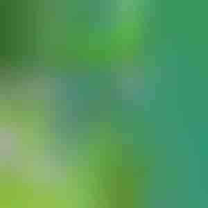 Una herramienta para eliminar las malas hierbas | SPINOUT