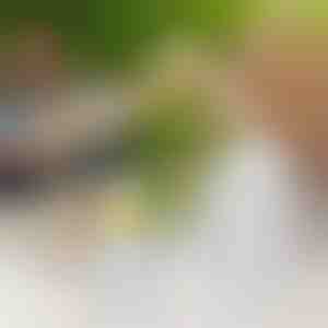 Botella de silicona 2 en 1 para hacer bolas de hielo | FREEZBALL