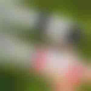 Pistola de burbujas LED de 69 orificios | BUBBLEPUFF