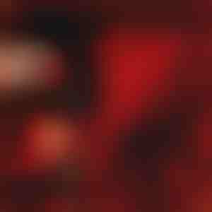 El regalo que habla de amor | LOVEBEAR