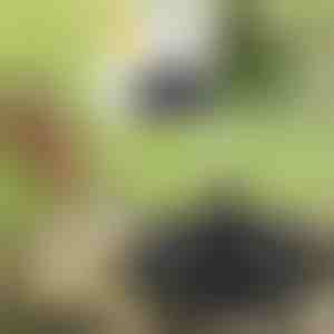 Da vida a tu jardín con la fuente mágica solar | FONTANA