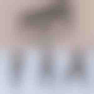 Barra de pilates multifuncional | TONEBAR