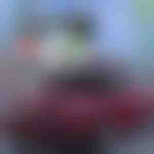 ¡La mejor protección del verano para coches! | CARCOVER