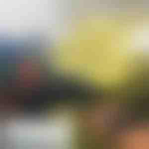 Minidrón con funcionamiento manual FLASH