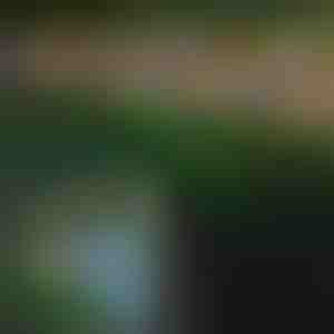 Luces solares para exterior con forma de mariposas | FLUTIX