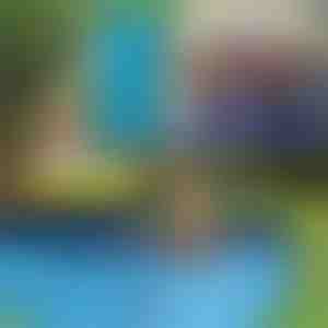 Piscina plegable no hinchable para mascotas | FOLDIPOOL