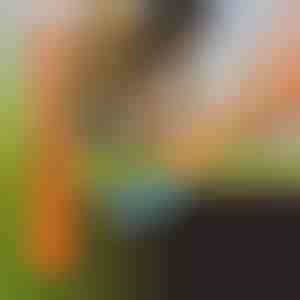 Detector de metales portátil con vibración sonora | HANDYHUNT