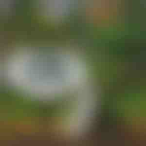 Luces solares de suelo para uso exterior (3 unidades) | LUMIGARD