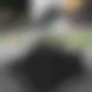 Zapatos de entrenamiento cómodos | REINFORCE