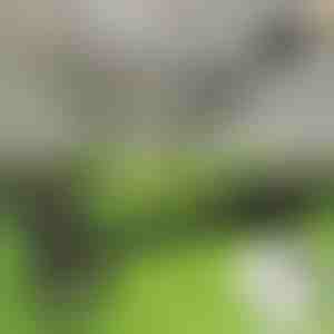 Herramienta para desherbar | RUNCO