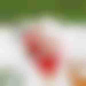 Papa Noel que trepa y toca música SANTACLIMB