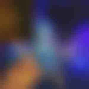 Luces decorativas de exterior | STARRYSKY