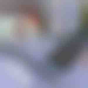 Parasol para coche y ventana | SUNGUARD