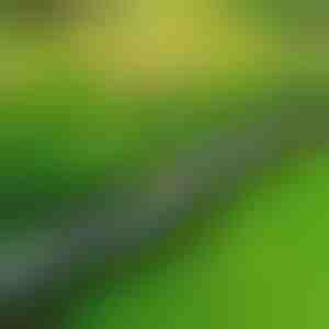 Bordes de jardín tipo piedra (10 piezas) | MINIFENCE