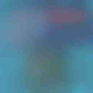 Bañador de secado rápido | TOGGIES