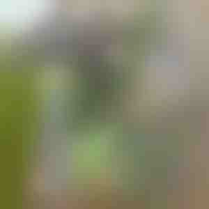 Azada de jardín para facilitar la eliminación de malas hierbas | GRASSOE