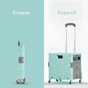 Carrito multifuncional | CARRYMAX