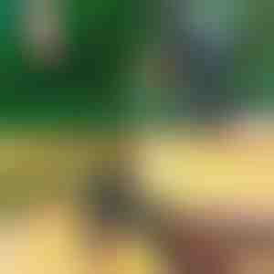 Tijeras profesionales 2 en 1 para podar e injertos | MASTERCUT