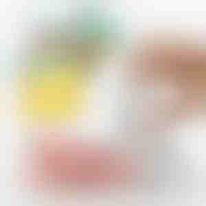 Sellador al vacío de alimentos rápido y fácil, y bomba de aire | QUICKSEAL