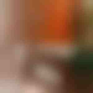 Pulidor para Protección y Brillo | BEEWAX