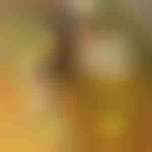 Pizarra luminosa y de acrílico LED con 7 rotuladores | LUMOBOARD