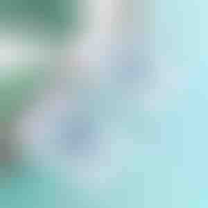 Ganchos adhesivos transparentes para pared (10 uds) | ADHEHOOKS